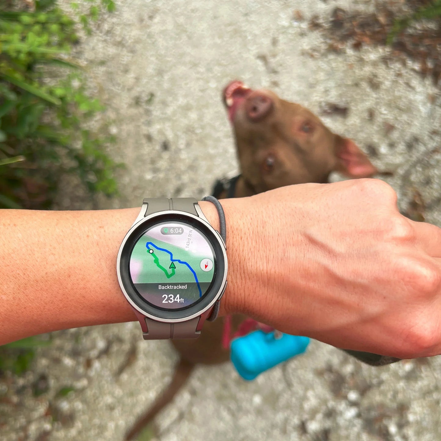 Watch 5 Pro: Premium GPS + Cellular Connectivity, Advanced Fitness & Health Tracking, Oxygen & ECG Monitoring, Water Resistance | 1-Year Warranty, 14-Day Hassle-Free Returns + Free Ear Buds